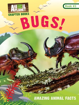 cover image of Bugs!